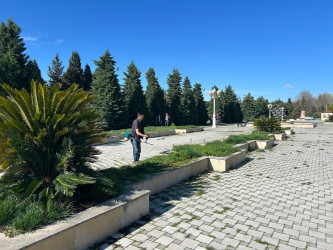 Tərtər şəhəri ərazisində iməclik aksiyası keçirilib