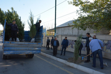 Tərtər Rayon İcra Hakimiyyətinin və YAP rayon təşkilatının birgə təşkilatçılığı ilə “Heydər Əliyev İli” çərçivəsində 8 Noyabr-Zəfər Gününə həsr olunmuş ağacəkmə aksiyası keçirilib