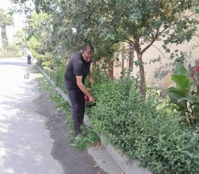 Tərtər şəhəri ərazisində növbəti iməclik aksiyası keçirilib