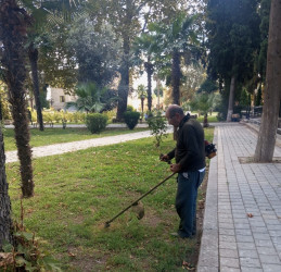 Tərtər şəhəri ərazisində iməclik aksiyası keçirilib