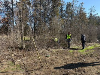 Tərtər rayonu ərazisində növbəti iməclik aksiyası keçirilib