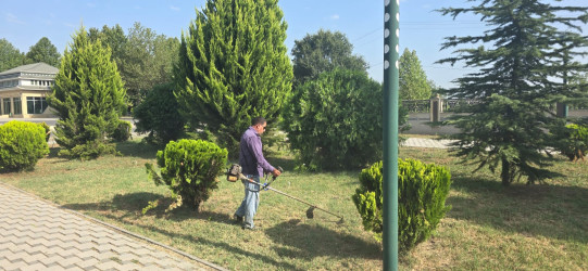 Tərtər şəhəri ərazisində növbəti iməclik aksiyası keçirilib