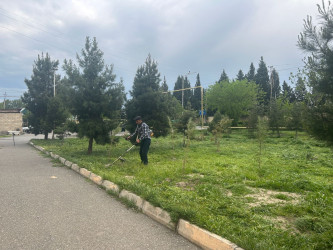 Tərtər şəhəri ərazisində iməclik aksiyası keçirilib