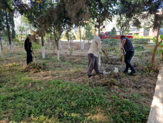 Tərtərdə avtomobil yollarının kənarları iməcilik yolu ilə təmzilənib