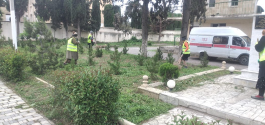 Tərtər şəhəri ərazisində iməclik aksiyası keçirilib