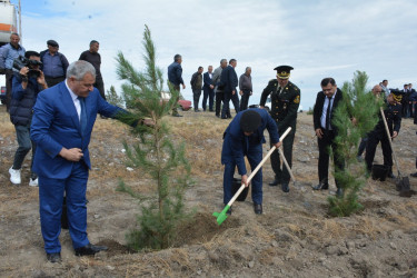 Tərtərdə 27 sentyabr-Anım Günü münasibəti ilə ağacəkmə aksiyası keçirilib