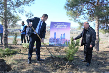 Tərtərdə “Şəhərsalma və Memarlıq İli” çərçivəsində Xocalı soyqrımının 34-cü il dönümü ilə əlaqədar ağacəkmə aksiyası keçirilib