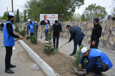 “Heydər Əliyev ili” çərçivəsində Tərtərdə növbəti ağacəkmə aksiyası keçirilib