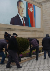 Tərtər şəhəri ərazisində gül və çiçək kolları əkilib