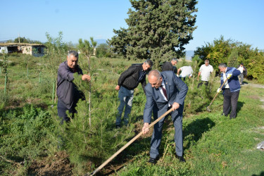 Tərtərdə “Anım Günü”ndə “Vətən bağı”nda ağacəkmə aksiyası keçirilib