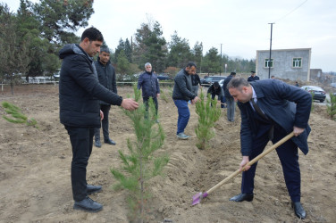 Tərtərdə “Konstitusiya və Suverenlik İli” çərçivəsində Ümummilli Lider Heydər Əliyevin anım günü ilə əlaqədar ağacəkmə aksiyası keçirilib
