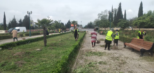 Tərtər şəhəri ərazisində iməclik aksiyası keçirilib