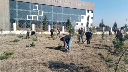 Tərtərdə Yeni Azərbaycan Partiyasının təsis edilməsinin 33-cü ildönümü münasibətilə ağacəkmə aksiyası keçirilib