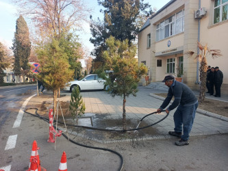 Tərtər şəhəri ərazisində növbəti iməclik aksiyası keçirilib