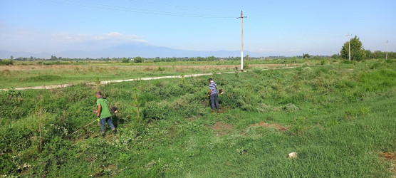 Tərtərdə “Yaşıl dünya naminə həmrəylik ili” çərçivəsində növbəti iməcilik aksiyası keçirilib