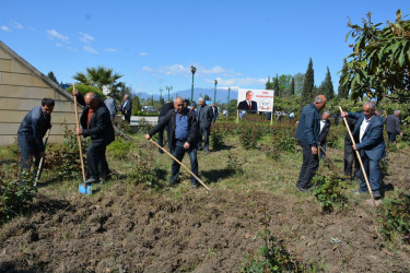 Tərtərdə “Heydər Əliyev İli” çərçivəsində mütamadi olaraq iməciliklər keçirilir