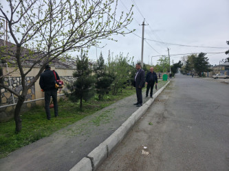 Tərtər şəhəri ərazisində iməclik aksiyası keçirilib