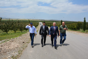 Tərtərdə “Frutti Aqro” MMC tərəfindən yeni salınmış intensiv meyvə bağına baxış keçirilib