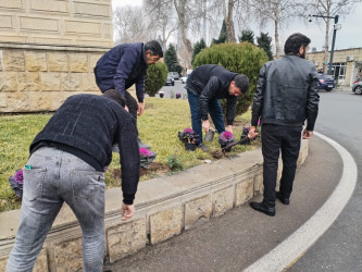 Tərtər şəhəri ərazisində gül və çiçək kolları əkilib