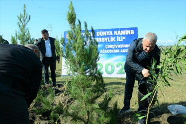 Tərtərdə "Yaşıl dünya naminə həmrəylik ili" çərçivəsində ümumrayon ağacəkmə aksiyası keçirilib