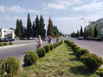 Tərtər şəhəri ərazisində iməclik aksiyası keçirilib