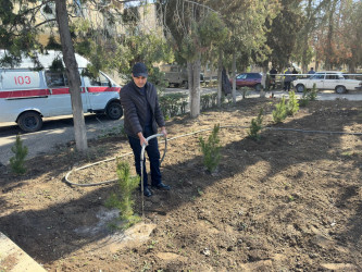 Tərtərdə şəhid Teyyub Həsənovun büstü ətrafında abadlıq və təmizlik işləri aparılıb