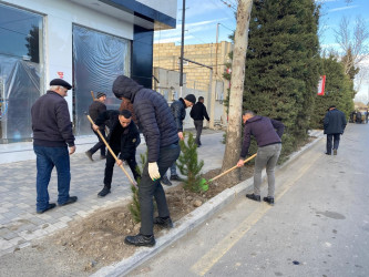 Tərtərdə 20 yanvar faciəsinin 35-ci il dönümü ilə əlaqədar  ağacəkmə aksiyası keçirilib