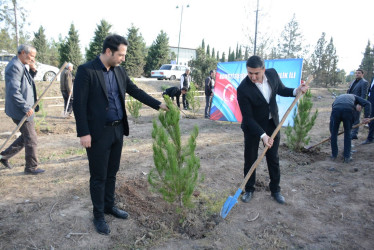 Tərtərdə “Konstitusiya və Suverenlik İli” çərçivəsində 8 Noyabr Zəfər Gününün beşinci ildönümü ilə əlaqədar növbəti ağacəkmə aksiyası keçirilib