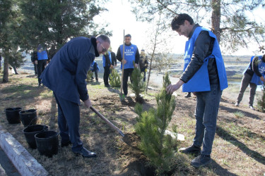 Tərtərdə “Şəhərsalma və Memarlıq İli” çərçivəsində Xocalı soyqrımının 34-cü il dönümü ilə əlaqədar ağacəkmə aksiyası keçirilib