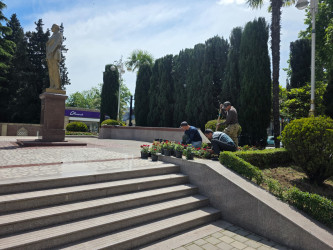 “Şəhərsalma və Memarlıq İli” çərçivəsində Tərtər şəhəri ərazisində gül və çiçək kolları əkilib