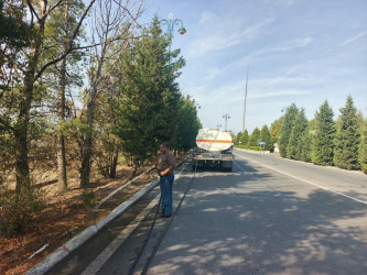 Tərtər şəhəri ərazisində iməclik aksiyası keçirilib