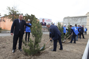 Tərtərdə “Heydər Əliyev ili” çərçivəsində növbəti ağacəkmə aksiyası keçirilib