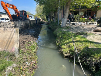 Tərtər şəhəri ərazisində iməclik aksiyası keçirilib