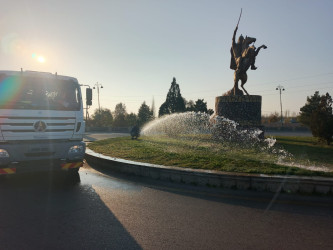 Tərtər şəhəri ərazisində iməclik və ağacəkmə aksiyası keçirilib