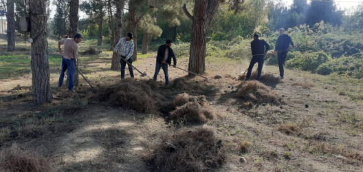 Tərtər şəhəri ərazisində növbəti iməclik aksiyası keçirilib