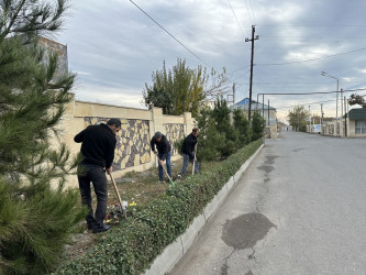 “Heydər Əliyev İli” çərçivəsində iməcilik keçirilib