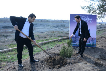 Tərtərdə “Şəhərsalma və Memarlıq İli” çərçivəsində növbəti ağacəkmə aksiyası keçirilib
