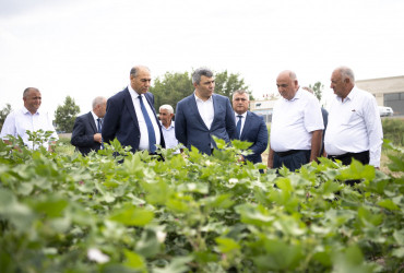 Kənd Təsərrüfatı naziri İnam Kərimov Tərtər və Bərdədə təsərrüfatlara baş çəkib, fermerlərlə görüşüb