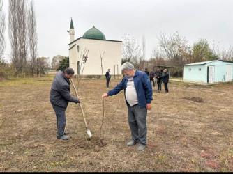 Tərtərdə Ulu Öndər Heydər Əliyevin anım günü ilə əlaqədar ağacəkmə aksiyası keçirilib
