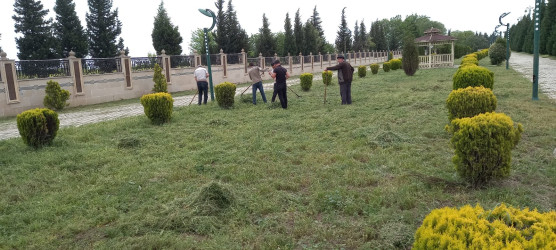 Tərtər şəhəri ərazisində iməclik aksiyası keçirilib