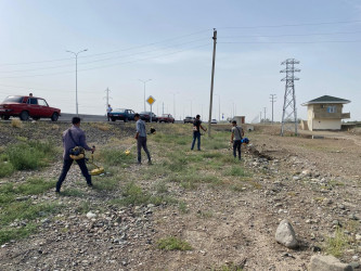 “Yaşıl dünya naminə həmrəylik ili” çərçivəsində növbəti iməcilik Bərdə-Ağdam avtomobil yolunun Tərtər rayonunun Hüsənli kəndinin ərazisində keçirilib