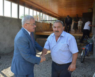 İcra başçısı şəhid anası Nabat Ələkbərovanı 60 illik yubileyi münasibəti ilə təbrik edib