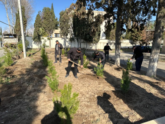 Tərtərdə şəhid Teyyub Həsənovun büstü ətrafında abadlıq və təmizlik işləri aparılıb