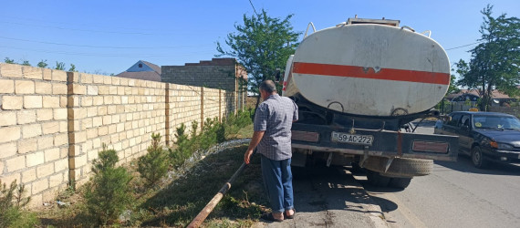 Tərtər şəhəri ərazisində iməclik aksiyası keçirilib