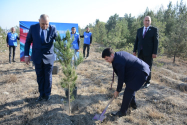 Tərtərdə Yeni Azərbaycan Partiyasının təsis edilməsinin 33-cü ildönümü münasibətilə ağacəkmə aksiyası keçirilib