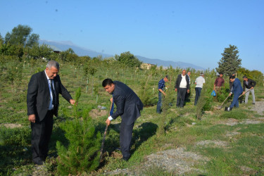 Tərtərdə “Anım Günü”ndə “Vətən bağı”nda ağacəkmə aksiyası keçirilib