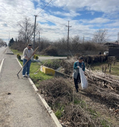 Seydimli kəndində ağacəkmə və təmizlik aksiyası keçirilib