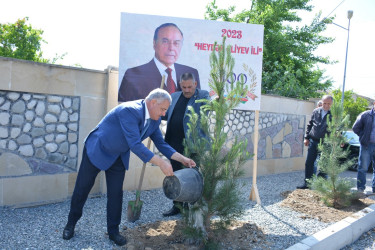 “Heydər Əliyev ili” çərçivəsində Tərtərdə növbəti ağacəkmə aksiyası keçirilib