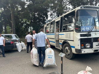 Tərtərdə barama tədarükünə başlanılıb