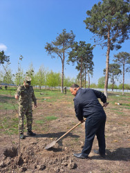 N saylı hərbi hissənin ərazisində Ulu Öndər Heydər Əliyevin 100 illik yubleyi münasibəti ilə  ağacəkmə aksiyası keçirilib